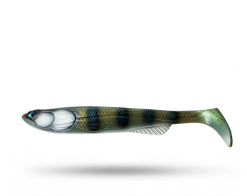 TrueGlide Swim Shad 24 cm - Iron Perch